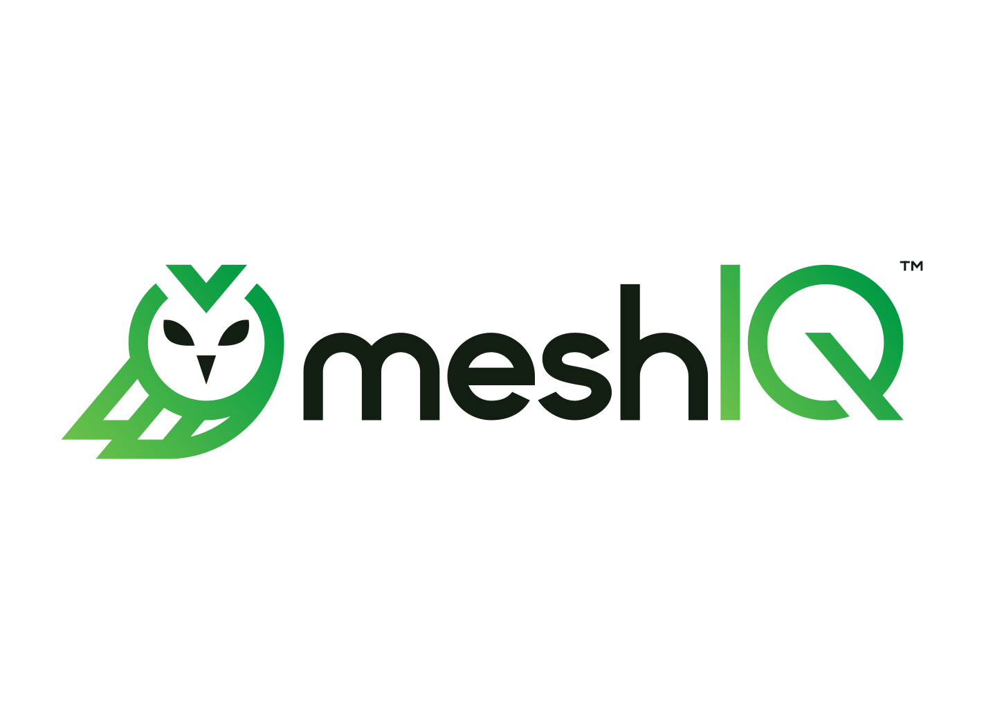 Nastel Technologies Receives Investment from Software Growth Partners and Announces Strategic Rebrand as meshIQ