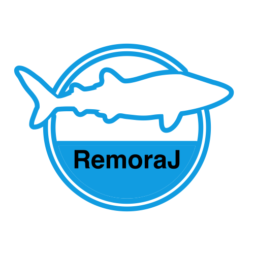 RemoraJ – an easy and low cost way to instrument Java apps