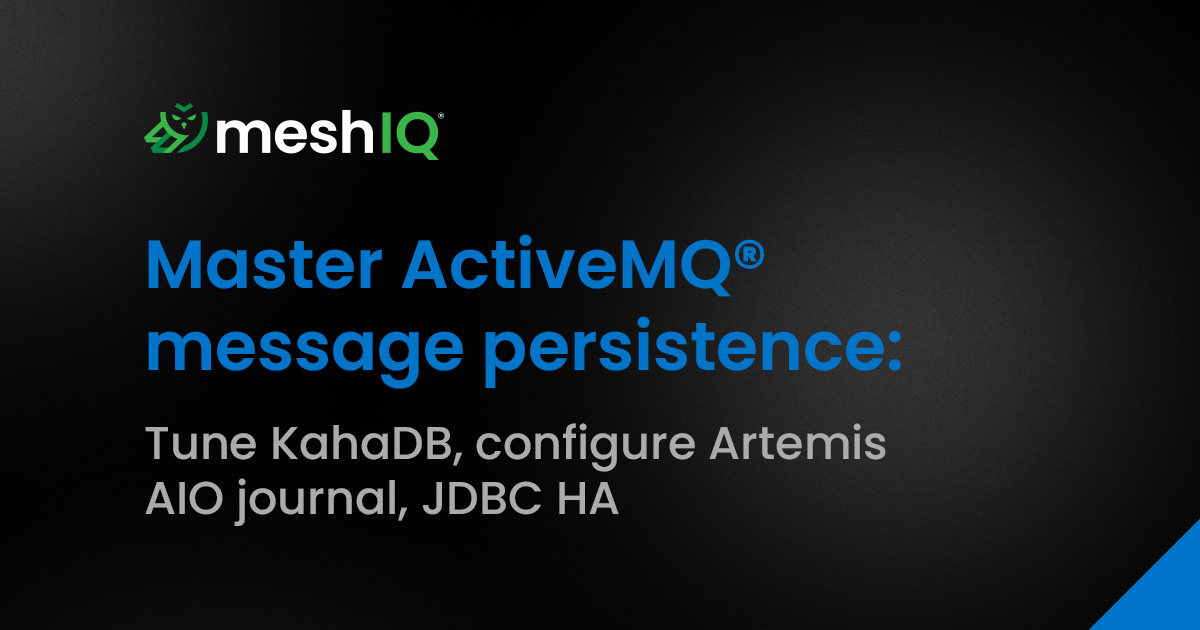 ActiveMQ Message Persistence