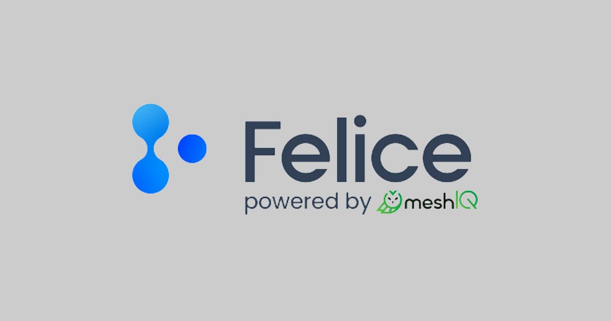 Logo with blue abstract shapes on the left, and the text Felice powered by meshIQ on the right. The word meshIQ includes a green owl icon and green letters, all on a light gray background.