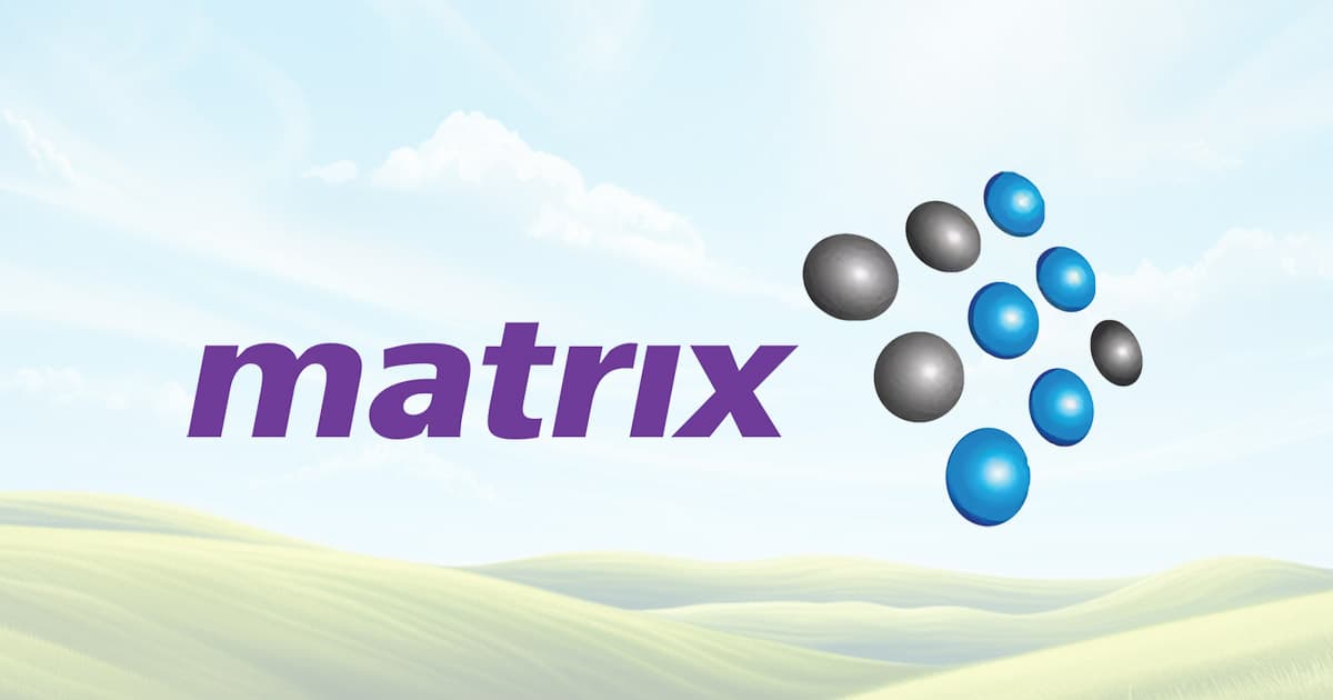 Matrix Global Services logo
