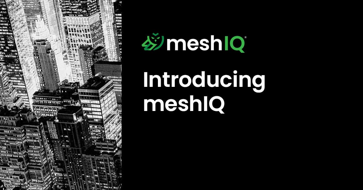 Black and white cityscape on the left, with the text meshIQ Introducing meshIQ on a black background on the right, along with the green meshIQ logo above the text.