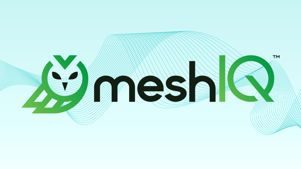 A New Chapter Unfolds On Becoming meshIQ