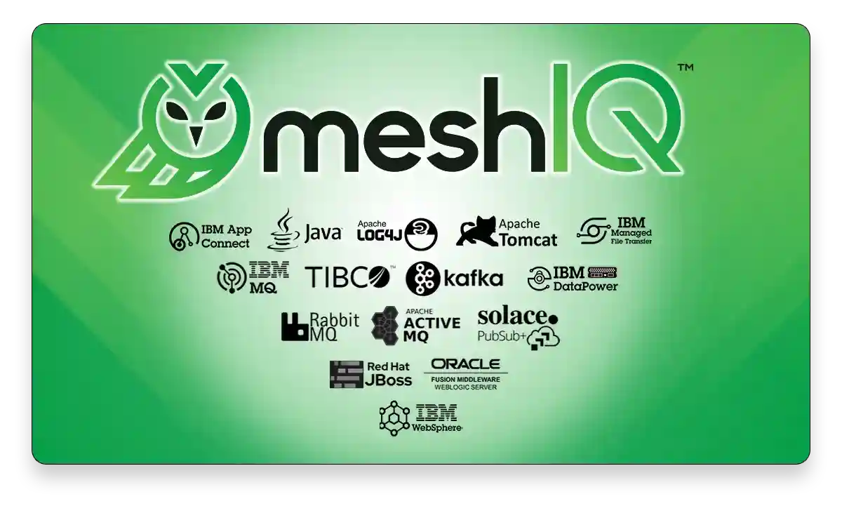 meshIQ Middleware Observability Platform